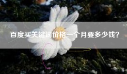百度买关键词价格一个月要多少钱？