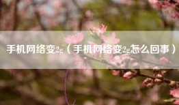 手机网络变2g（手机网络变2g怎么回事）