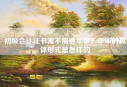初级会计证书需不需要年审？年审的具体形式是怎样的