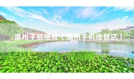 温州手机维修（温州手机维修店）