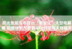 阳光氢能发布首台“数智化”大型电解槽 助推绿氢产业数字化转型与大规模发展