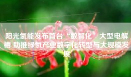 阳光氢能发布首台“数智化”大型电解槽 助推绿氢产业数字化转型与大规模发展
