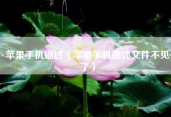 苹果手机描述（苹果手机描述文件不见了）