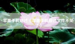 苹果手机描述（苹果手机描述文件不见了）