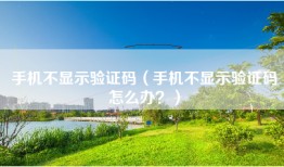 手机不显示验证码(手机不显示验证码怎么办?)
