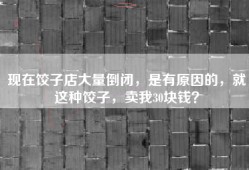 现在饺子店大量倒闭，是有原因的，就这种饺子，卖我30块钱？