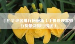 手机处理器排行榜最新（手机处理器排行榜最新排行榜图）