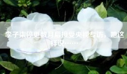 李子柒停更数月后接受央视专访，她这样说……