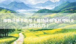 推特注册手机号（推特注册手机号码无效怎么办）