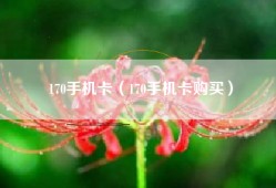 170手机卡（170手机卡购买）