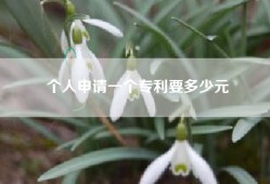 个人申请一个专利要多少元