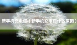 新手机充电慢（新手机充电慢什么原因）