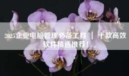 2025企业电脑管理必备工具 ｜ 十款高效软件精选推荐！
