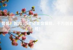 警惕！国内 170个资金盘骗局，千万别去碰！