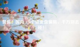 警惕！国内 170个资金盘骗局，千万别去碰！