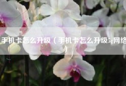 手机卡怎么升级（手机卡怎么升级5g网络）