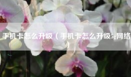 手机卡怎么升级（手机卡怎么升级5g网络）