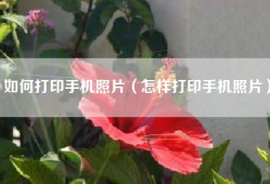 如何打印手机照片（怎样打印手机照片）