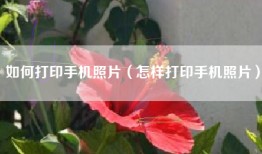 如何打印手机照片（怎样打印手机照片）