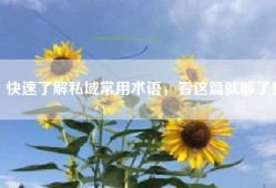 快速了解私域常用术语，看这篇就够了！
