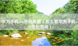 华为手机wifi密码查看（怎么看华为手机wifi密码查询）