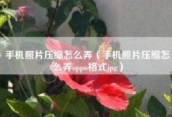 手机照片压缩怎么弄（手机照片压缩怎么弄oppo格式jpg）