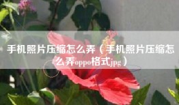 手机照片压缩怎么弄（手机照片压缩怎么弄oppo格式jpg）