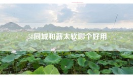 58同城和薪太软哪个好用