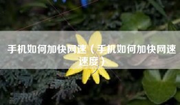 手机如何加快网速（手机如何加快网速速度）