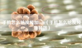 手机怎么给视频加logo（手机怎么给视频加特效）