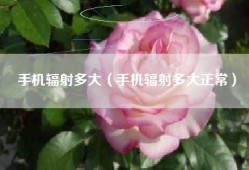 手机辐射多大（手机辐射多大正常）