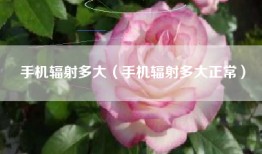 手机辐射多大（手机辐射多大正常）
