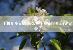 手机历史记录怎么查（查询手机历史记录）