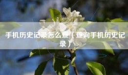 手机历史记录怎么查（查询手机历史记录）