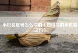 手机验证码怎么取消（如何取消手机验证码）
