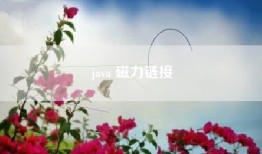 java 磁力链接