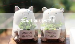 雷军上阵 小米纾困
