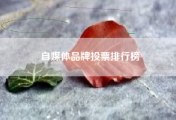 自媒体品牌投票排行榜