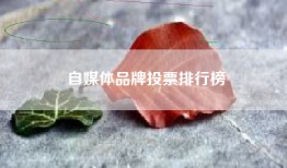 自媒体品牌投票排行榜