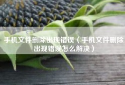 手机文件删除出现错误（手机文件删除出现错误怎么解决）