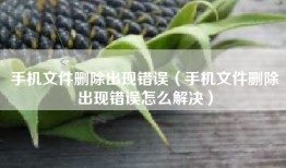 手机文件删除出现错误（手机文件删除出现错误怎么解决）