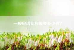 一般申请专利需要多少钱？