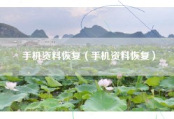 手机资料恢复（手机资料恢复）