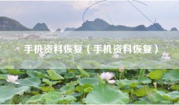 手机资料恢复（手机资料恢复）