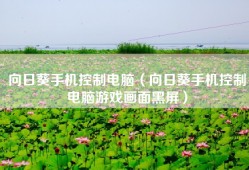 向日葵手机控制电脑（向日葵手机控制电脑游戏画面黑屏）
