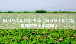 向日葵手机控制电脑（向日葵手机控制电脑游戏画面黑屏）