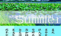 20万的手机（20万的手机号码）