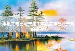 手机来电显示未知（手机来电显示未知的原因）