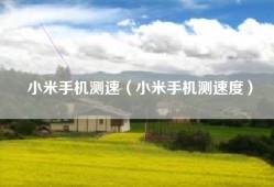 小米手机测速（小米手机测速度）