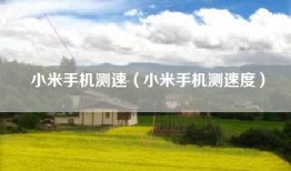 小米手机测速（小米手机测速度）